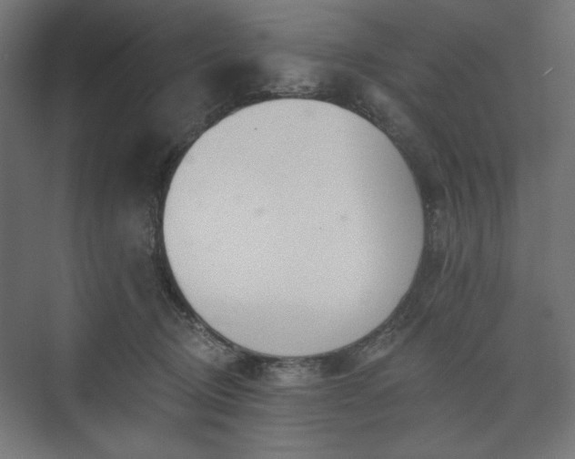 X0000073990370200608281320