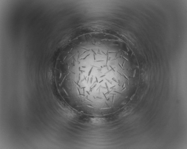 X0000073990371200608281320