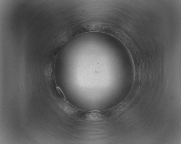 X0000073990372200608281320