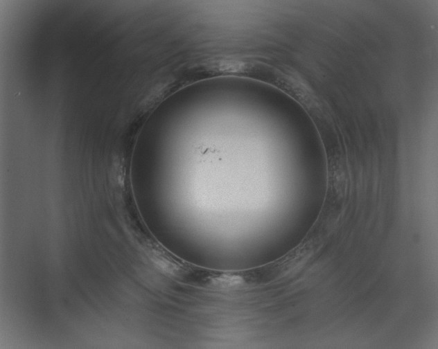 X0000073990374200608281320