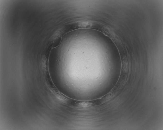 X0000073990375200608281320