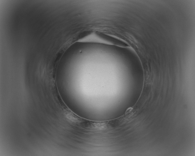 X0000073990377200608281320