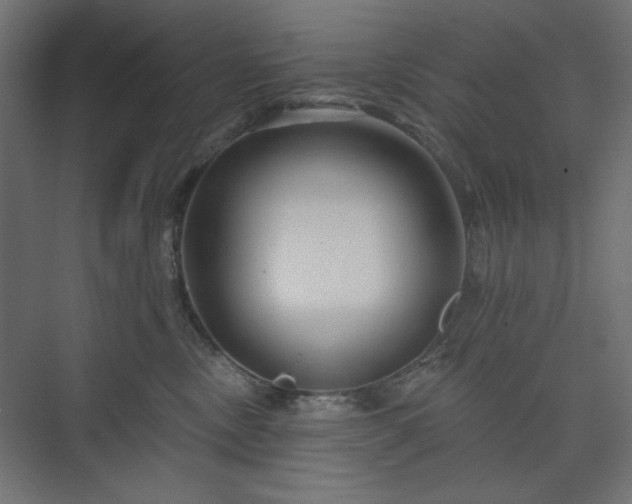 X0000073990378200608281320