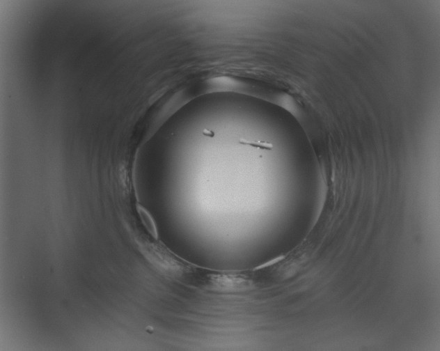 X0000073990380200608281320