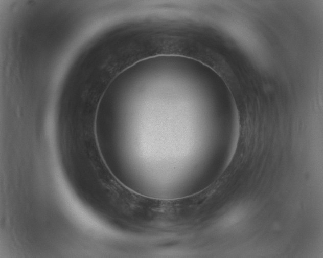 X0000073990383200608281320