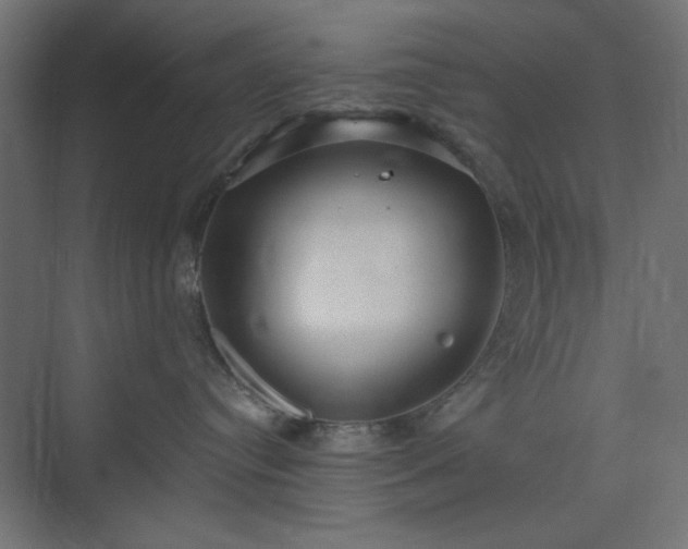 X0000073990384200608281320