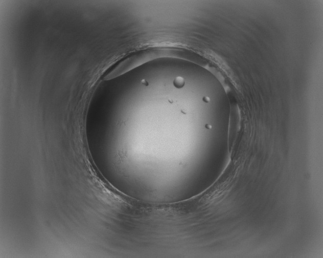 X0000073990385200608281319