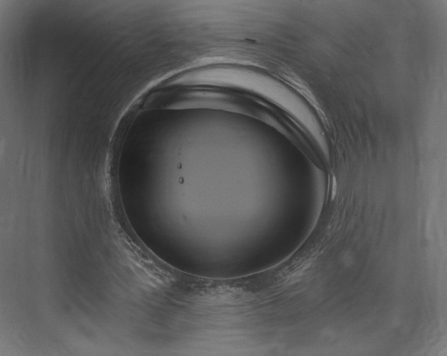 X0000073990387200608281319