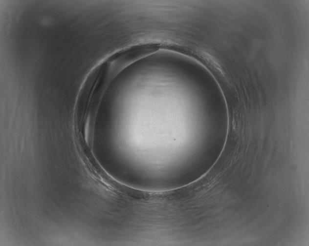 X0000073990388200608281319