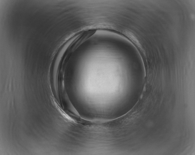 X0000073990389200608281319