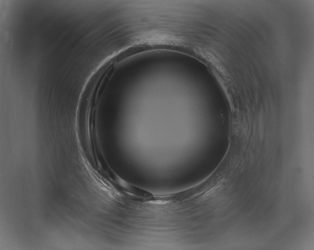 X0000073990391200608281319