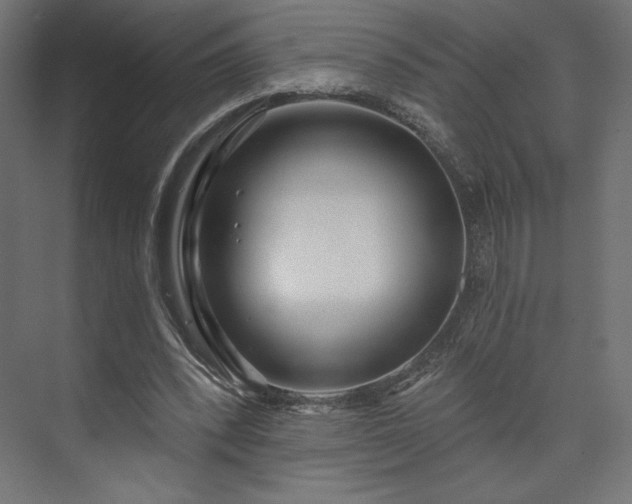 X0000073990392200608281319