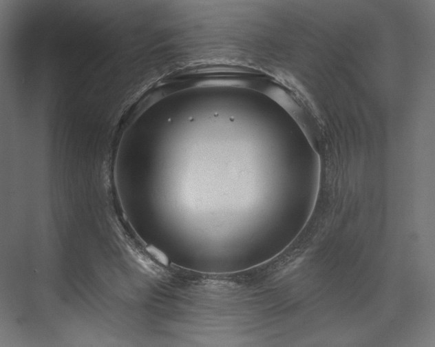 X0000073990393200608281319