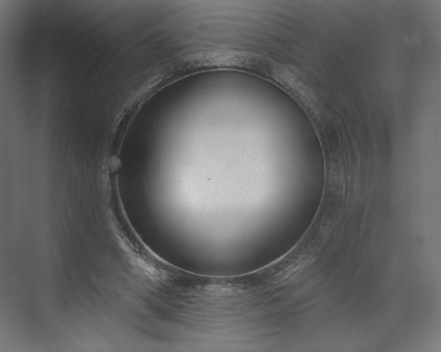 X0000073990394200608281319