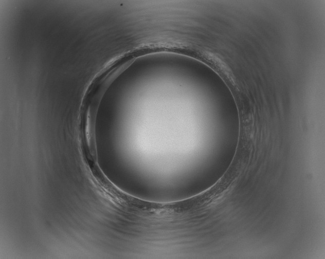 X0000073990395200608281319