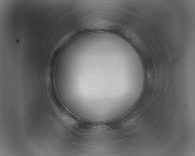 X0000073990396200608281319