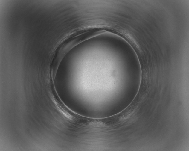 X0000073990397200608281319