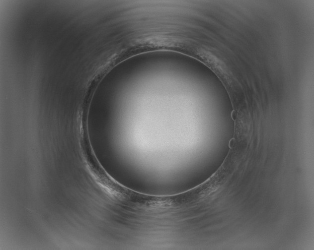 X0000073990398200608281319