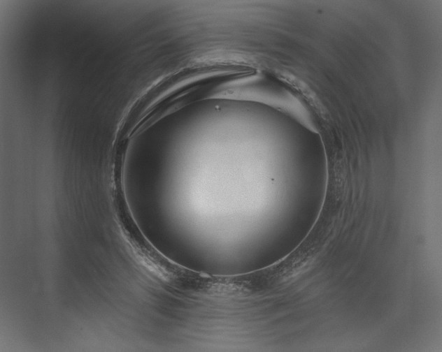 X0000073990399200608281319