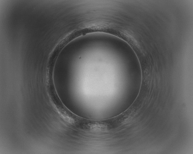 X0000073990400200608281319