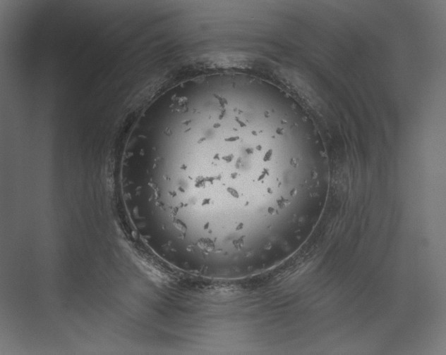 X0000073990402200608281319