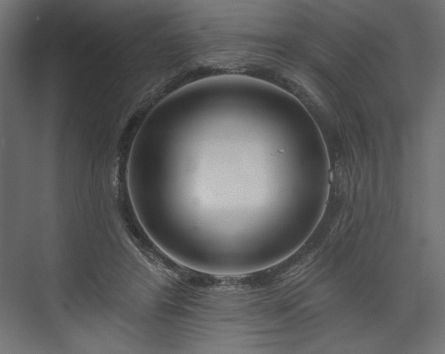 X0000073990404200608281319