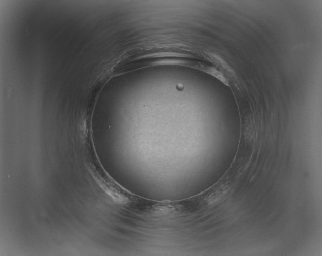 X0000073990405200608281319