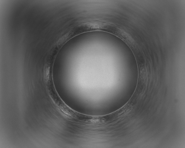 X0000073990406200608281319