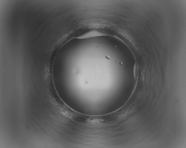 X0000073990407200608281319