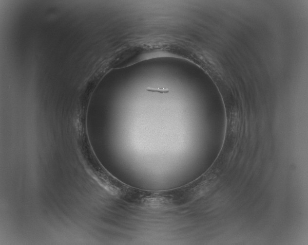 X0000073990408200608281319