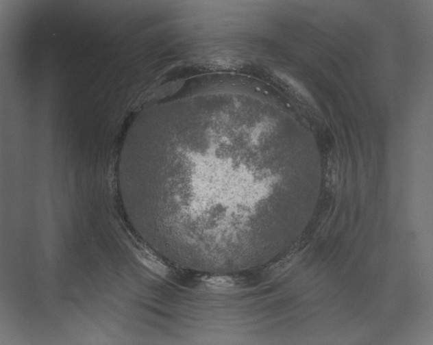 X0000073990409200608281319