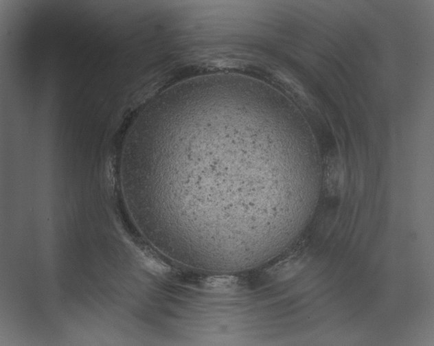 X0000073990410200608281319