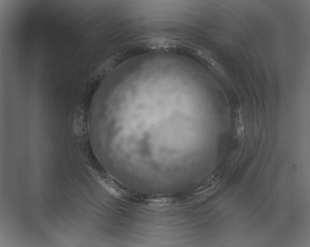 X0000073990411200608281319