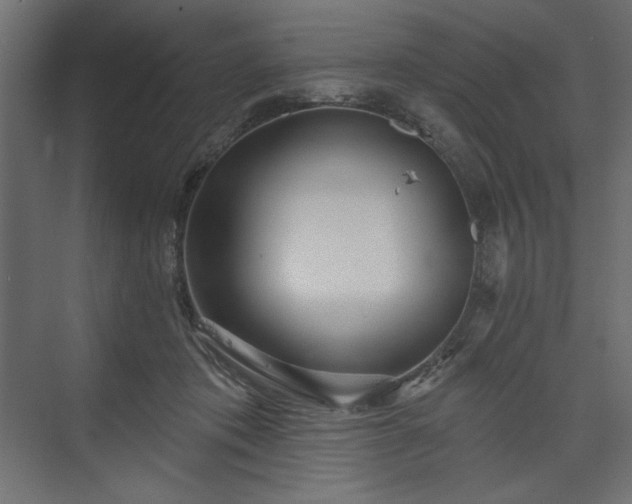 X0000073990413200608281319