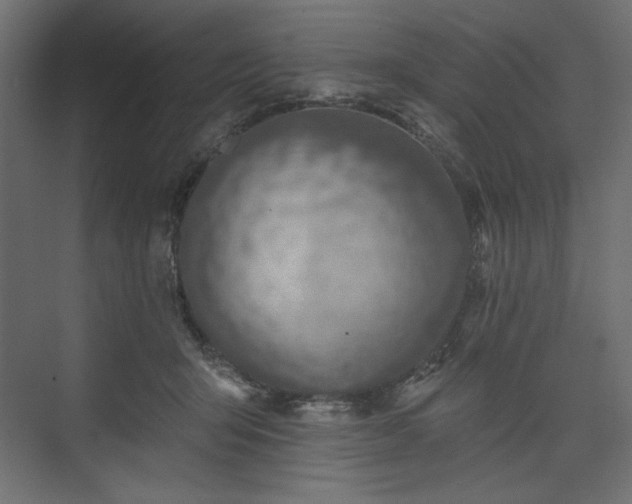 X0000073990415200608281319