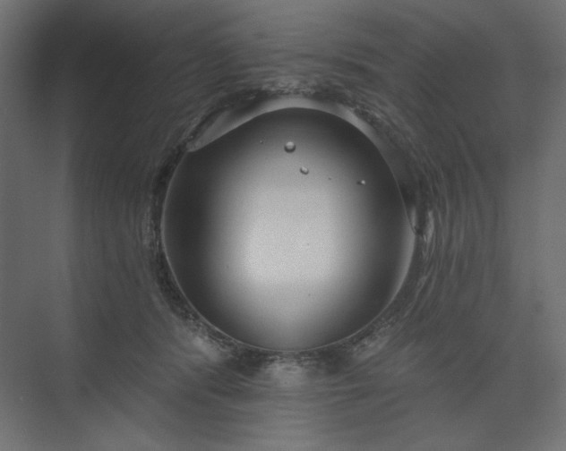 X0000073990416200608281319