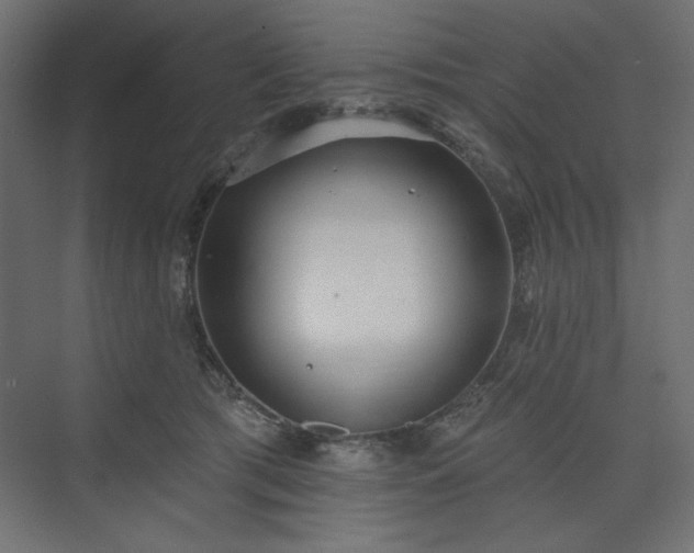 X0000073990417200608281319