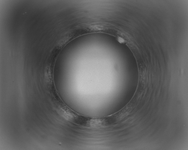 X0000073990418200608281319