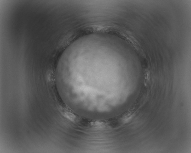 X0000073990419200608281319