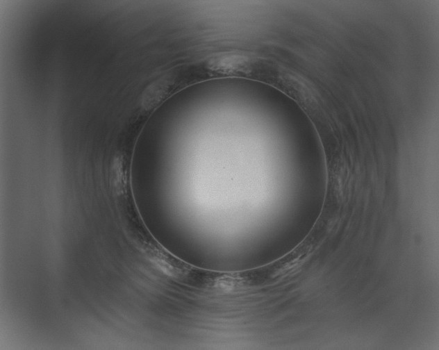 X0000073990420200608281319