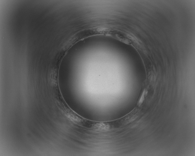 X0000073990421200608281319