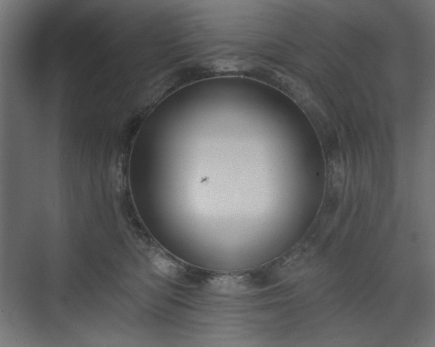 X0000073990422200608281319