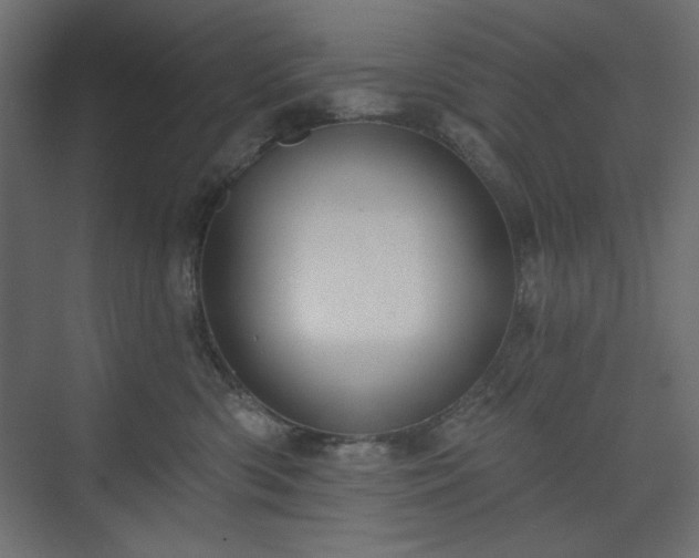 X0000073990426200608281319