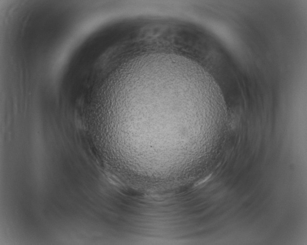 X0000073990431200608281319