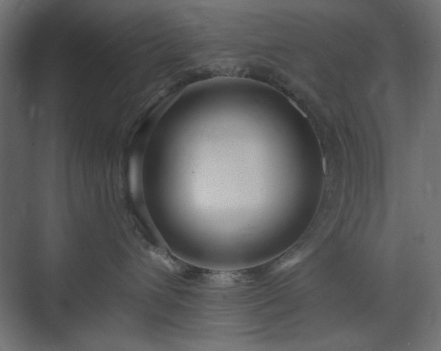 X0000073990432200608281319