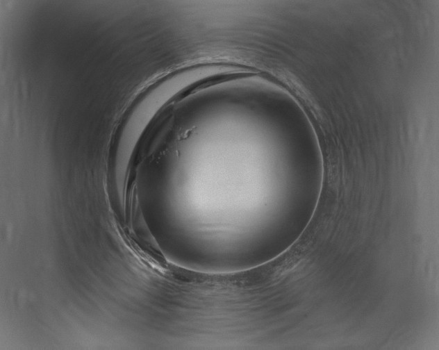 X0000073990434200608281318