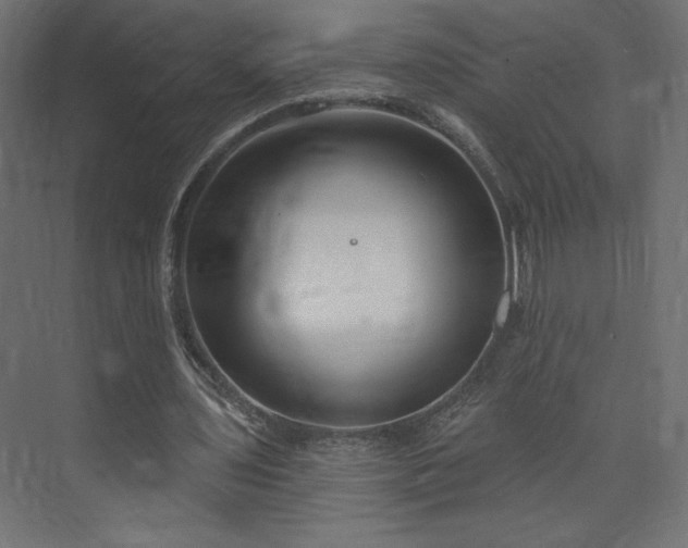 X0000073990435200608281318