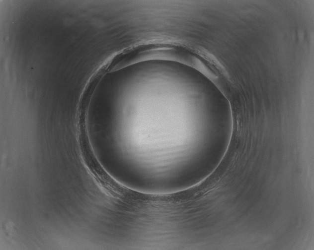 X0000073990436200608281318