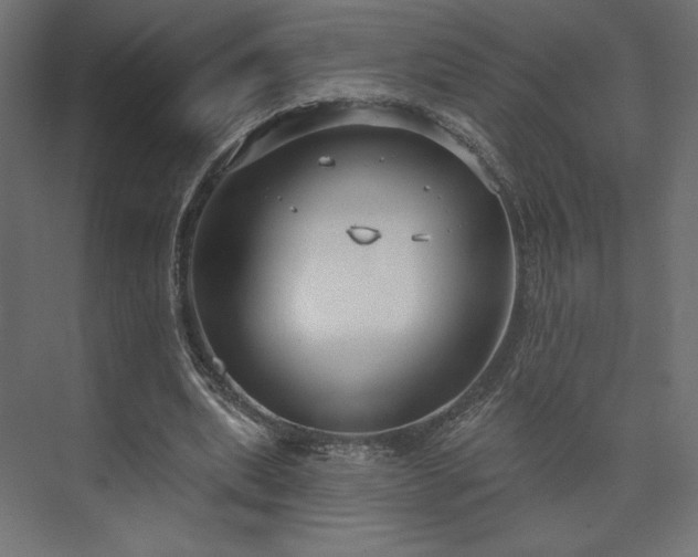 X0000073990439200608281318