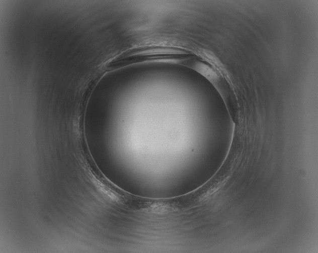 X0000073990441200608281318